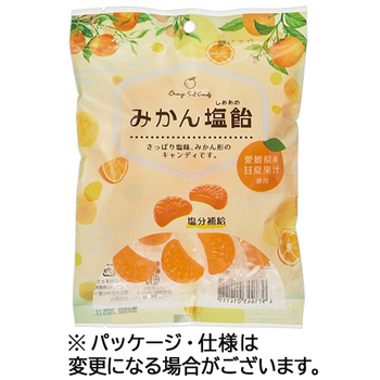 金扇ドロップス工業 みかん塩飴 110g 1セット(6パック)
