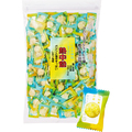 井関食品 熱中飴 レモン塩味 1kg/袋 1セット(3袋)
