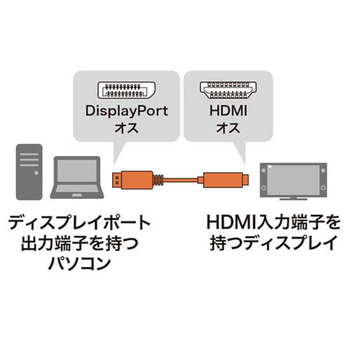 サンワサプライ DisplayPort-HDMI変換ケーブル ブラック 2m KC-DPHDA20 1本