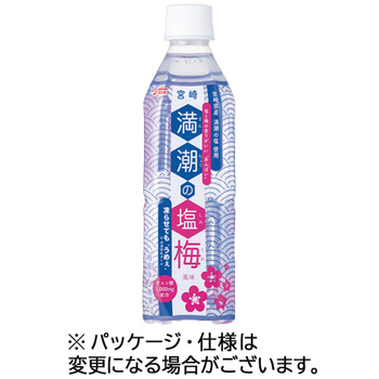 宮崎県農協果汁 サンA 満潮の塩梅 490mL ペットボトル 1セット(48本:24本×2ケース)