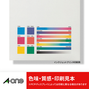 エーワン POP REVOLUTION POP・表示用ラベル[各種プリンタ兼用] 白無地 A4 40面 ワンポイント用 51594 1冊(10シート)