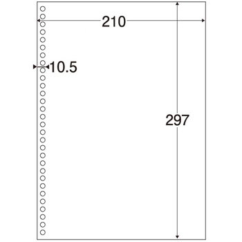 ヒサゴ マルチプリンタ帳票(エコノミープライス) A4 白紙 30穴 BPE2049 1箱(2500枚)