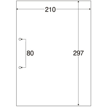 TANOSEE マルチプリンタ帳票(FSC森林認証紙) 複写タイプ A4 ノーカーボン 白紙 2穴 1箱(500枚:100枚×5冊)
