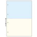 TANOSEE マルチプリンタ帳票(FSC森林認証紙) 複写タイプ A4 ノーカーボン カラー 2面 4穴 1箱(500枚:100枚×5冊)