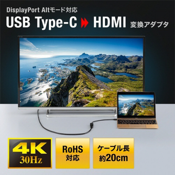 サンワサプライ USB Type C-HDMI変換アダプタ(4K/30Hz) AD-ALCHD02 1個