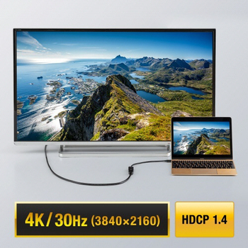 サンワサプライ USB Type C-HDMI変換アダプタ(4K/30Hz) AD-ALCHD02 1個