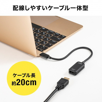 サンワサプライ USB Type C-HDMI変換アダプタ(4K/30Hz) AD-ALCHD02 1個