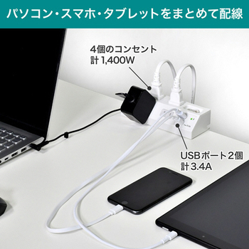 ELPA 集中スイッチ付デスクタップ(外せるクランプ付) 4個口+2ポート 2m ホワイト WLS-DS4232SUA(W) 1個