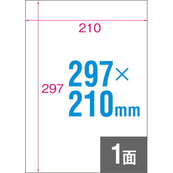 TANOSEE 各種プリンタ対応ラベル A4 ノーカット 1冊(100シート)