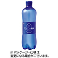 宝商事 ゴッチアブルー ナチュラル 500ml ペットボトル 1セット(48本:24本×2ケース)