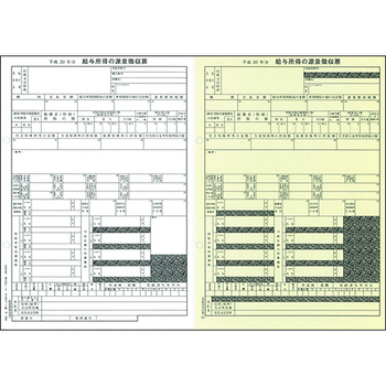 日本法令 給与支払報告書(源泉徴収票付) A4判カット紙 平成31年提出用(30年分) 地方MC-3C-30 1冊(30セット)