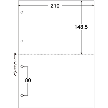 TANOSEE マルチプリンタ帳票(スーパーエコノミー) A4 白紙 2面 4穴 1セット(500枚:100枚×5冊)