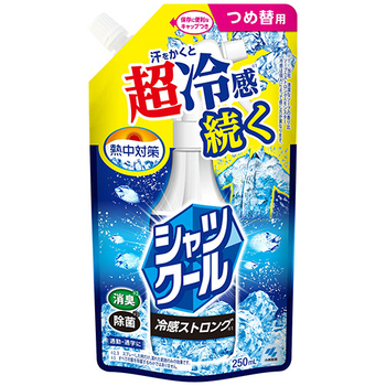 小林製薬 熱中対策 シャツクール 冷感ストロング つめ替用 250mL 1パック