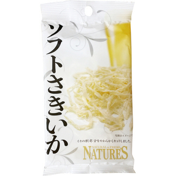 井上食品 ネイチャーズ ソフトさきいか 21g 1パック