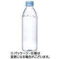 伊藤園 エビアン ラベルレス 500ml ペットボトル 1セット(48本:24本×2ケース)