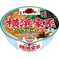 日清食品 日清麺NIPPON 横浜家系とんこつ醤油ラーメン 119g 1ケース(12食)