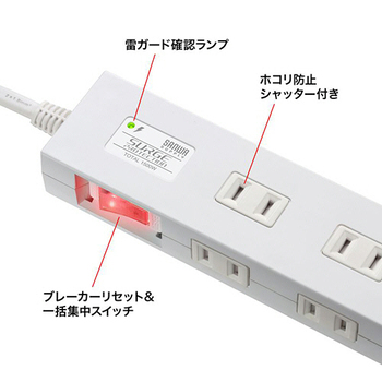 サンワサプライ 雷ガードタップ 2P・10個口 3m ホワイト TAP-SP2110N-3W 1個