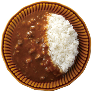 大塚食品 100kcalマイサイズ 欧風カレー 150g 1セット(10食)