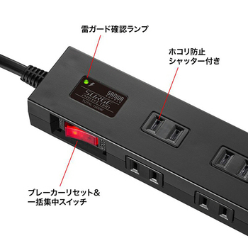 サンワサプライ 雷ガードタップ 2P・10個口 5m ブラック TAP-SP2110N-5BK 1個