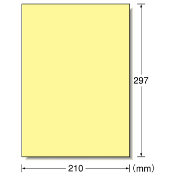 エーワン ラベルシール[プリンタ兼用] マット紙・クリーム A4判 ノーカット 28494 1冊(15シート)