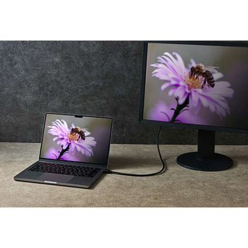 エレコム ウルトラハイスピードHDMIケーブル ブラック 1.5m RoHS指令準拠(10物質) DH-HD21E15BK2 1本