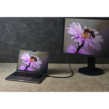 エレコム ウルトラハイスピードHDMIケーブル ブラック 2.0m RoHS指令準拠(10物質) DH-HD21E20BK2 1本