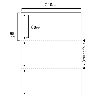 TANOSEE スマイル用LBP用紙 A4汎用白紙 3分割 6穴 1セット(1000枚:500枚×2箱)