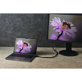 エレコム ウルトラハイスピードHDMIケーブル ブラック 5.0m RoHS指令準拠(10物質) DH-HD21E50BK2 1本