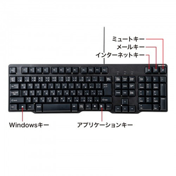 サンワサプライ USBキーボード ブラック SKB-L1UBKN 1台