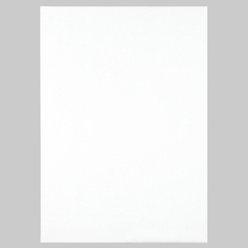 TANOSEE 模造紙(プルタイプ) 本体 765×1085mm 無地 ホワイト 1ケース(20枚)