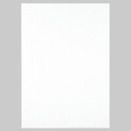 TANOSEE 模造紙(プルタイプ) 本体 765×1085mm 無地 ホワイト 1ケース(20枚)