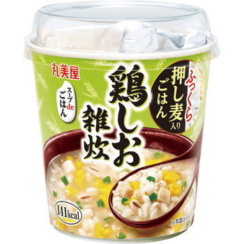 丸美屋 スープdeごはん 鶏しお雑炊 70.3g 1セット(48食)