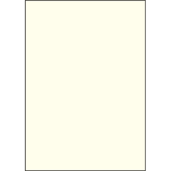 ヒサゴ マルチプリンタ帳票 複写タイプ A4 ノーカーボン クリーム BPC2000C 1冊(100枚)