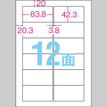 TANOSEE 各種プリンタ対応ラベル スタンダードタイプ A4 富士通12面 83.8×42.3mm 四辺余白付 1冊(100シート)