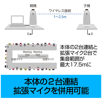 ソースネクスト Meeting Owl 3(ミーティングオウル 3) MTW300 0000337230 1台