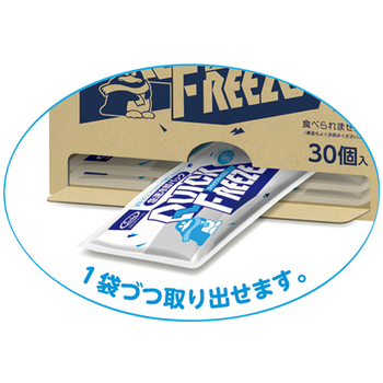 サンケイ商事 常備設置用クイックフリーズ ミニ(HE) 1箱(30個)