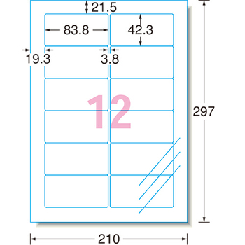 エーワン ラベルシール[レーザープリンタ] ツヤ消しフィルム・透明 A4 12面 83.8×42.3mm 四辺余白付 角丸 29461 1冊(10シート)