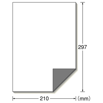 エーワン ラベルシール[プリンタ兼用] 下地がかくせる修正タイプ マット紙・ホワイト A4判 ノーカット 31281 1冊(12シート)