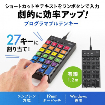 サンワサプライ プログラマブルテンキー(有線モデル) NT-26UBK 1個