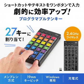 サンワサプライ プログラマブルテンキー(有線&無線2.4Gモデル) NT-WL26BK 1個