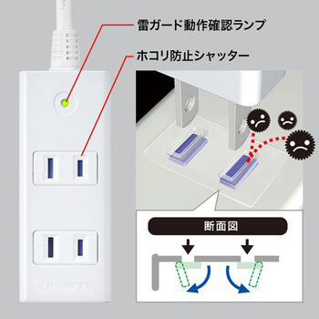 サンワサプライ 雷ガードタップ(ホコリ防止シャッター) 2P・3個口 5m ホワイト TAP-SP2113MG-5WN 1個