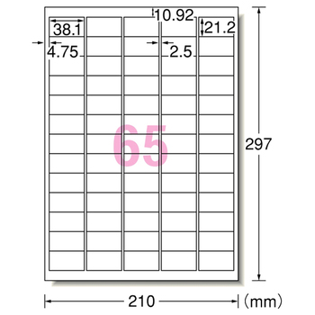 エーワン ラベルシール[プリンタ兼用] 下地がかくせる修正タイプ マット紙・ホワイト A4 65面 38.1×21.2mm 四辺余白付 31569 1冊(12シ