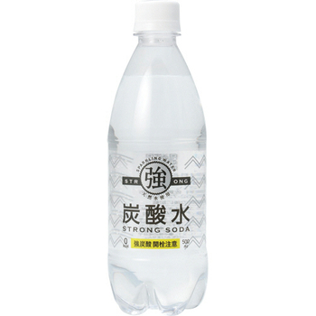 友桝飲料 強炭酸水 500ml ペットボトル 1ケース(24本)