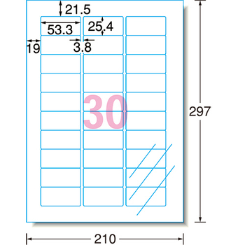 エーワン ラベルシール[インクジェット] 光沢フィルム・透明 A4 30面 53.3×25.4mm 四辺余白付 角丸 28973 1冊(10シート)