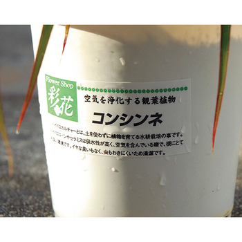 東洋印刷 ナナタフネスラベル カラーレーザープリンタ用フィルムラベル A4 14面 86.4×38.1mm FCL-17 1冊(100シート)