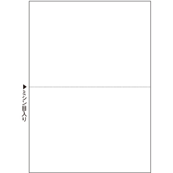 TANOSEE マルチプリンタ帳票(スーパーエコノミー) A4 白紙 2面 1冊(100枚)