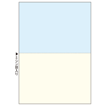 ヒサゴ マルチプリンタ帳票 複写タイプ A4 ノーカーボン カラー 2面 BPC2010 1冊(100枚)