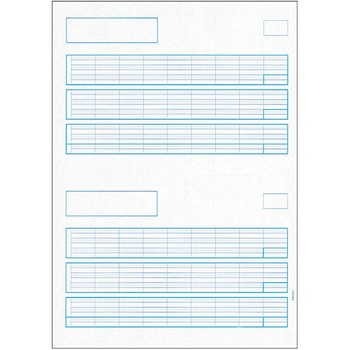 PCA 給与明細書A 罫線あり PA1111G 1箱(500枚)