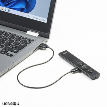 サンワサプライ USB充電式 パワーポインター 赤色光 LP-RF116BK 1本
