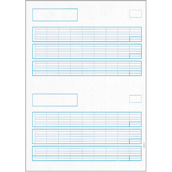 PCA 給与明細書 罫線あり PA1111F 1箱(500枚)